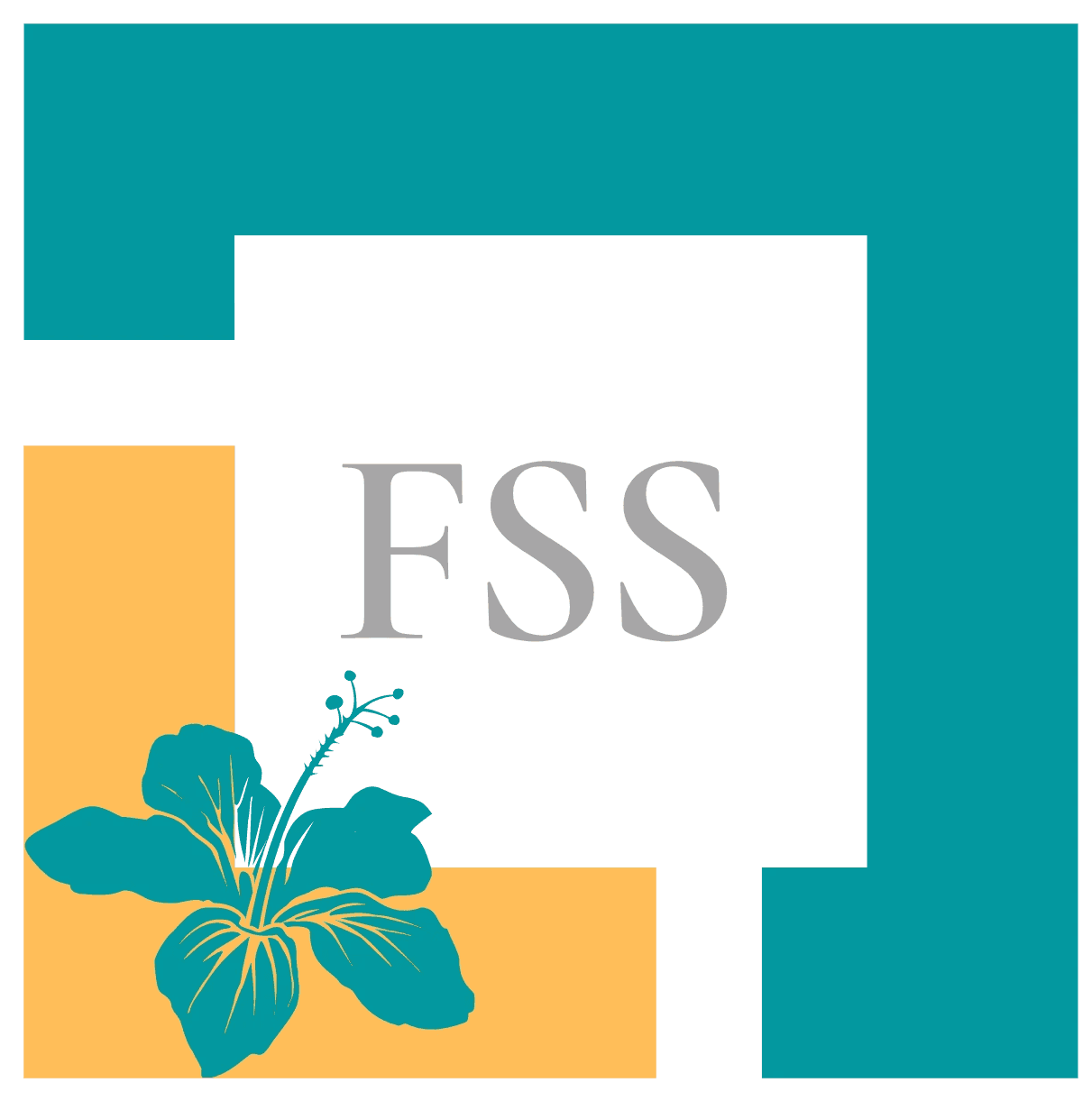 Fondation Semsamar Solidarité