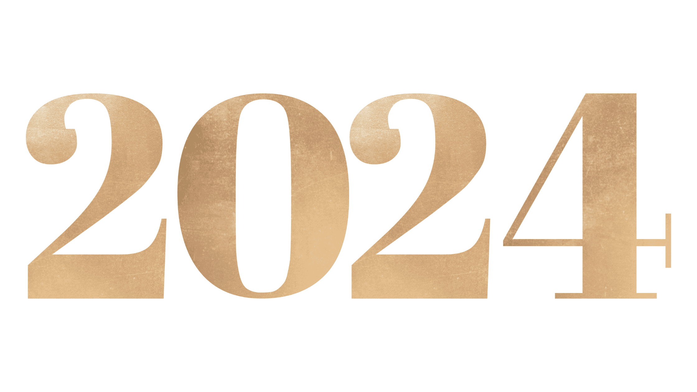Mme BELDOR Martine, Présidente de la Fondation Semsamar Solidarités vous présente ses vœux pour la nouvelle année 2024. – photo 1